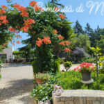 25 Aprile in Comunità
